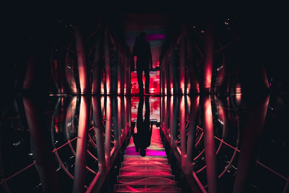 Dark silhouette reflections