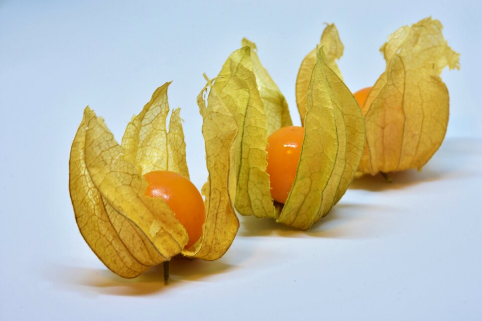 Orange food healthy