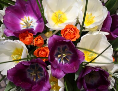 Floral arrangement roses bouquet