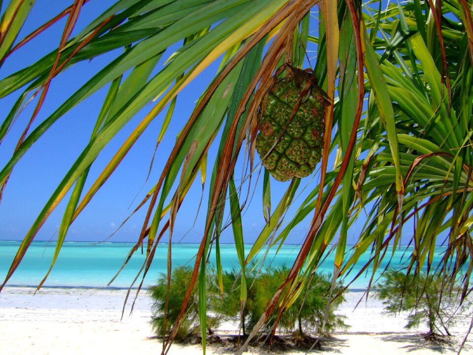 Africa paradise holidays