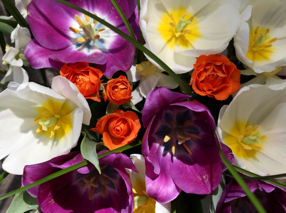 Floral arrangement roses bouquet