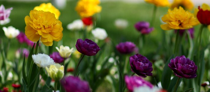 Supplies coloring spring