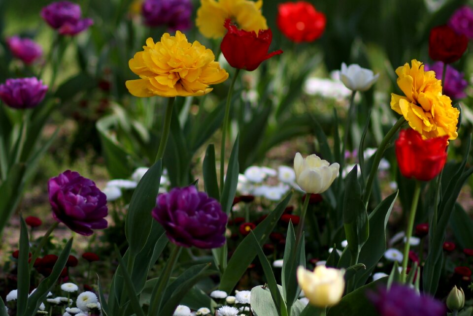 Supplies coloring spring