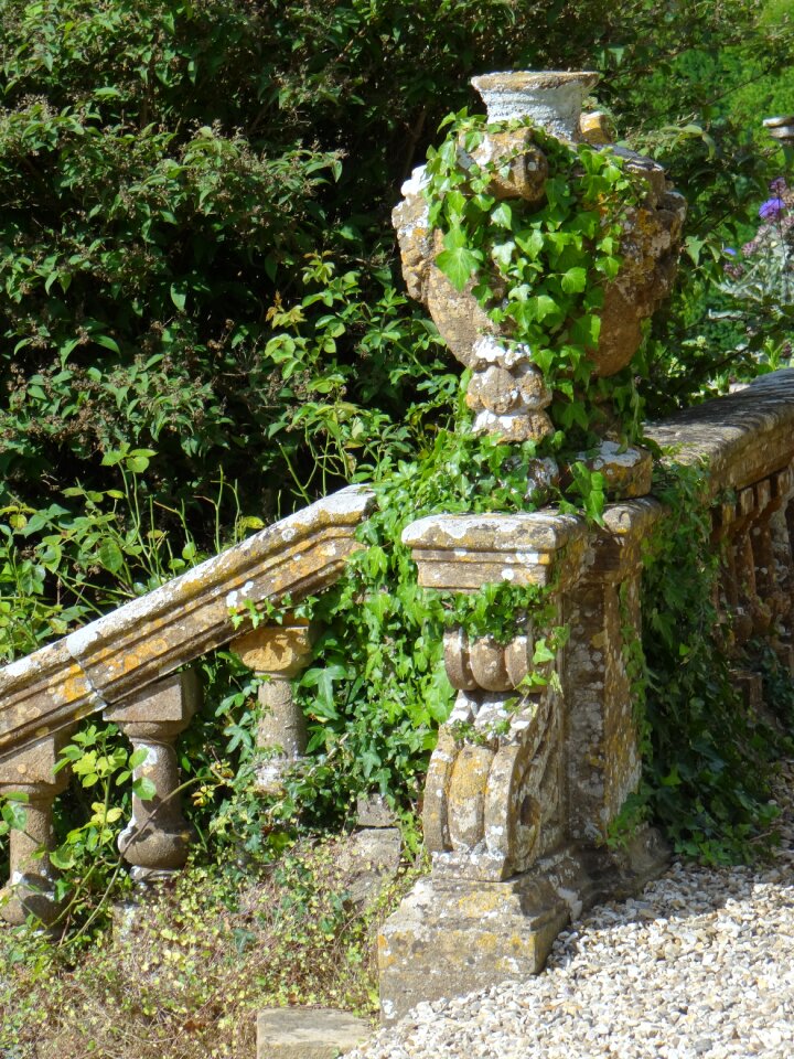 Ivy romance england