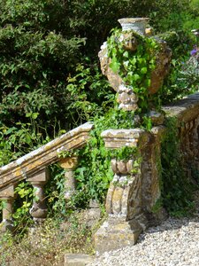 Ivy romance england