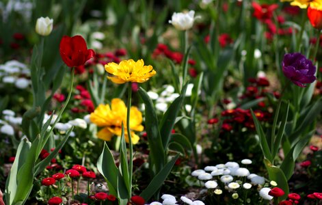 Supplies coloring spring
