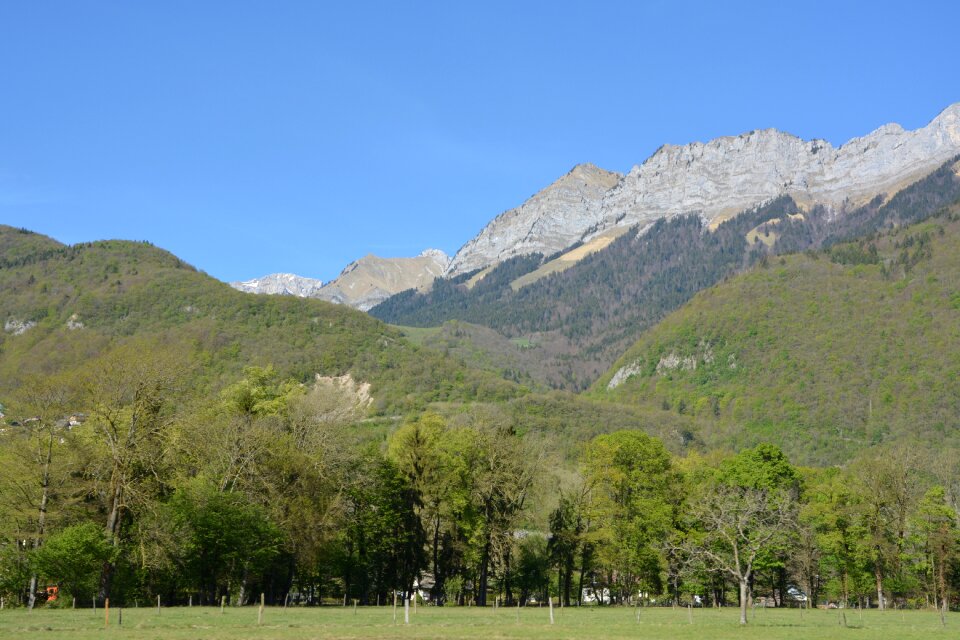 Blue sky spring landscape