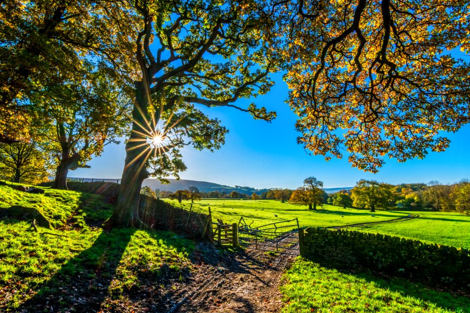 Morning sunlight landscape