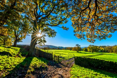 Morning sunlight landscape photo