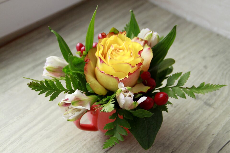 Foliage pink yellow