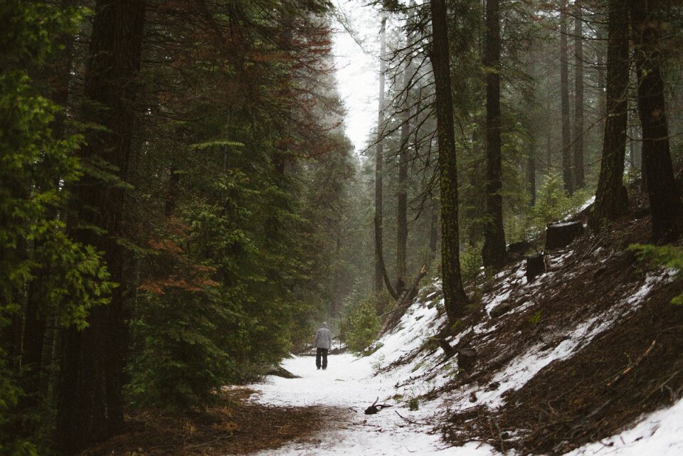 Walking snow fog