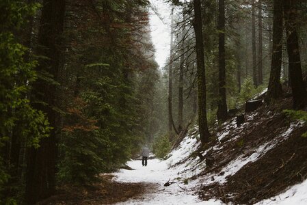 Walking snow fog photo