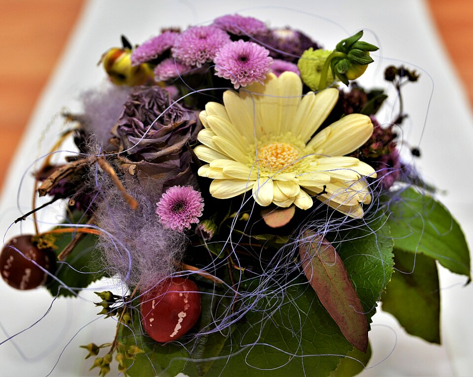 Gift schnittblume flowers