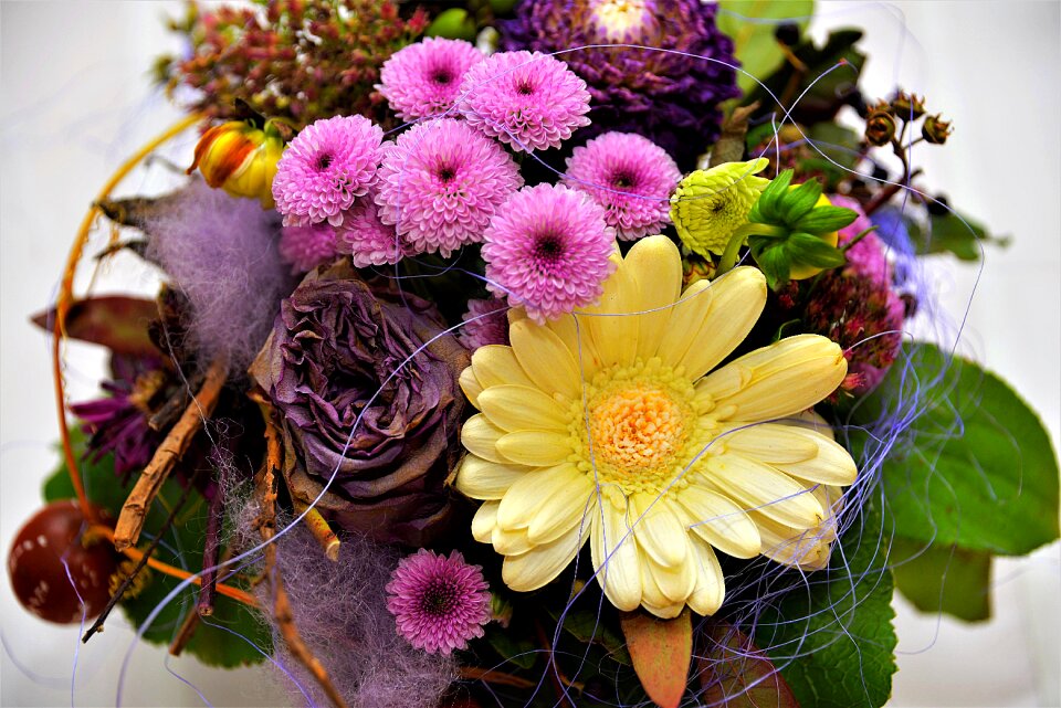 Bouquet cut flowers close up
