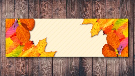 Fall foliage autumn mood leaf