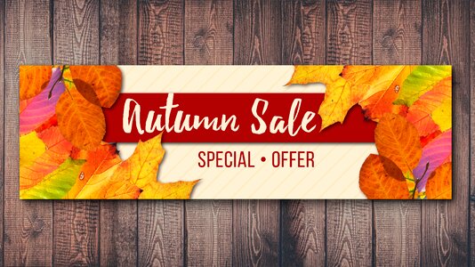 Fall foliage autumn mood leaf