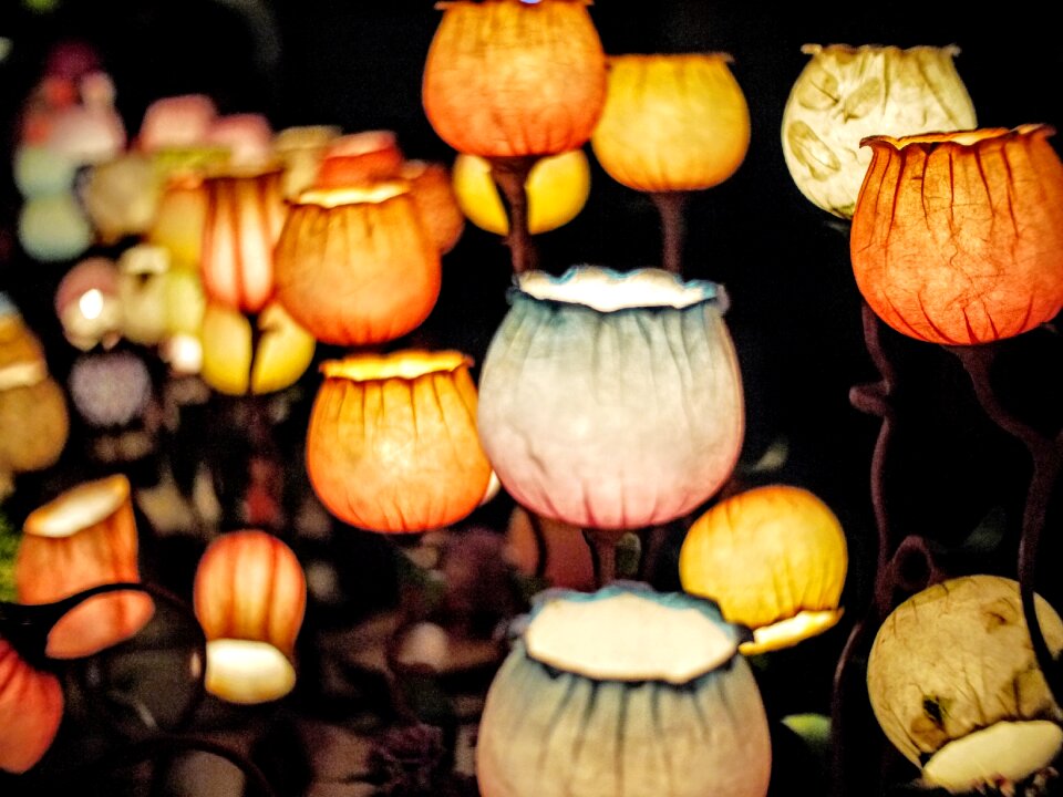 Light lamps decorative