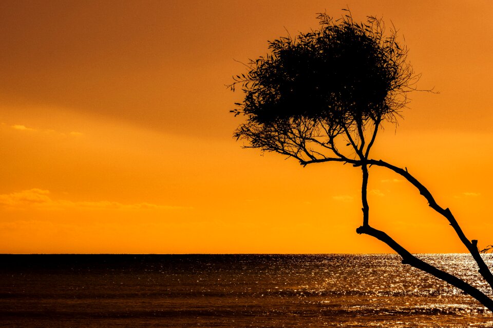Silhouette dusk evening