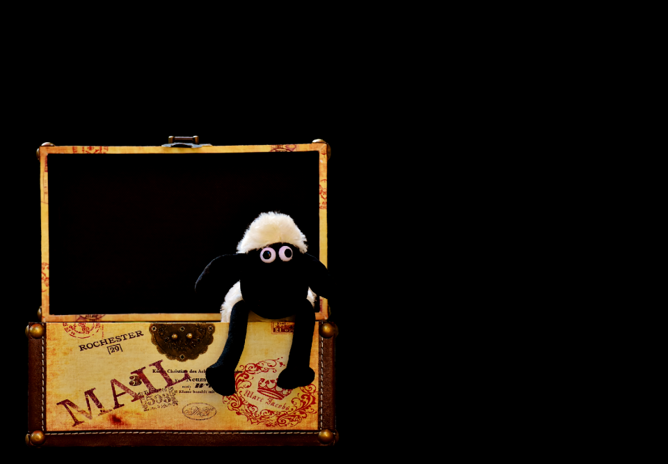 Funny animal soft toy