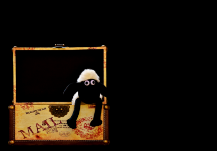 Funny animal soft toy