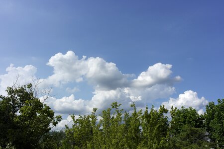 Sky blue wood