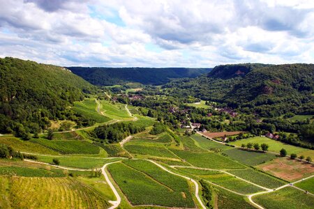 Travel agro-industry vines