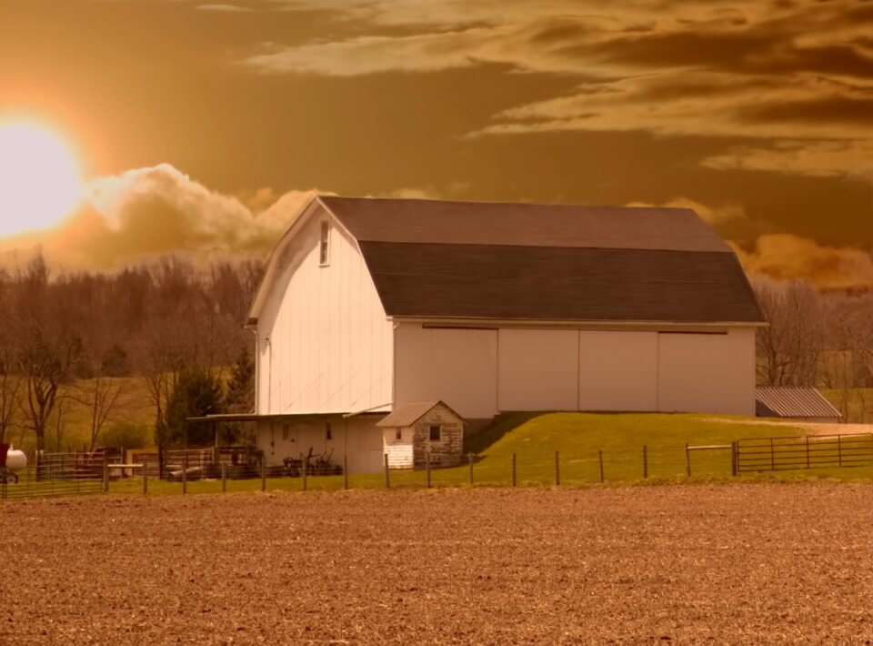 Morning golden dawn