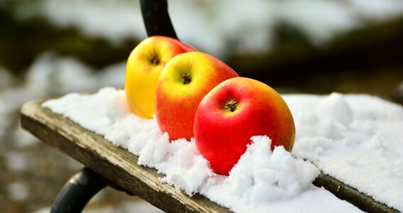Fruit healthy snowed in