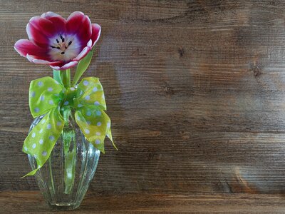 Wood table flower photo