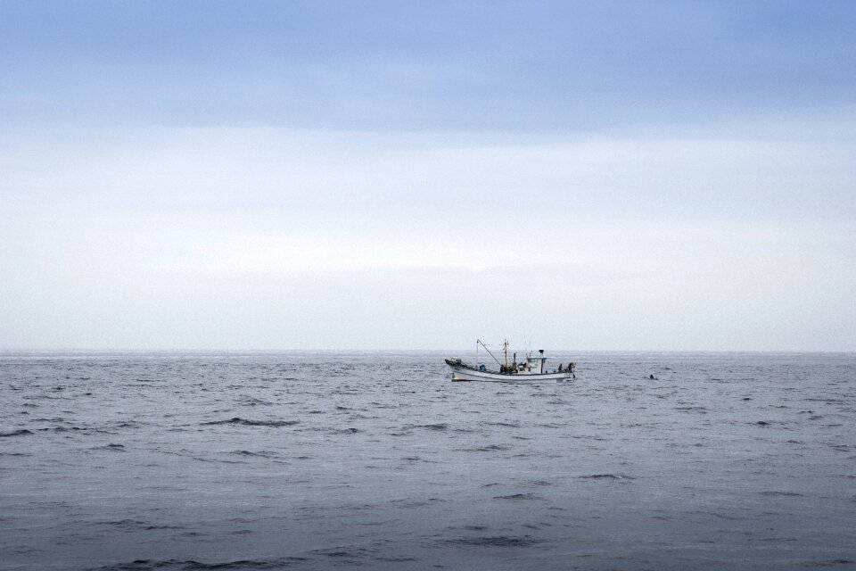 Coast coastal and oceanic landforms fishing