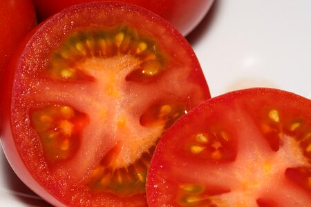 Food feed vegan