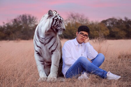 Lawn nice animalia