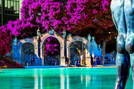City art canary island