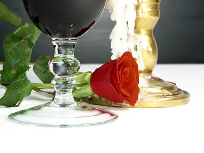 Wine glass red photo