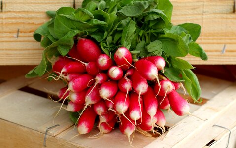 Food vegetable vegetarian