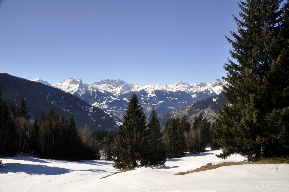 Berge montafon verwall