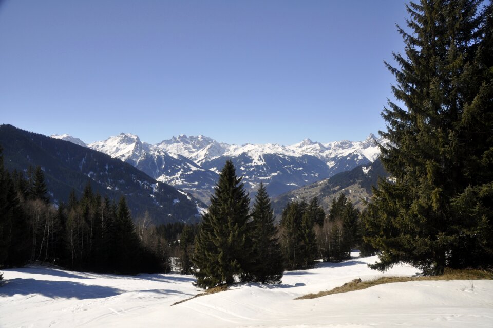 Berge montafon verwall photo