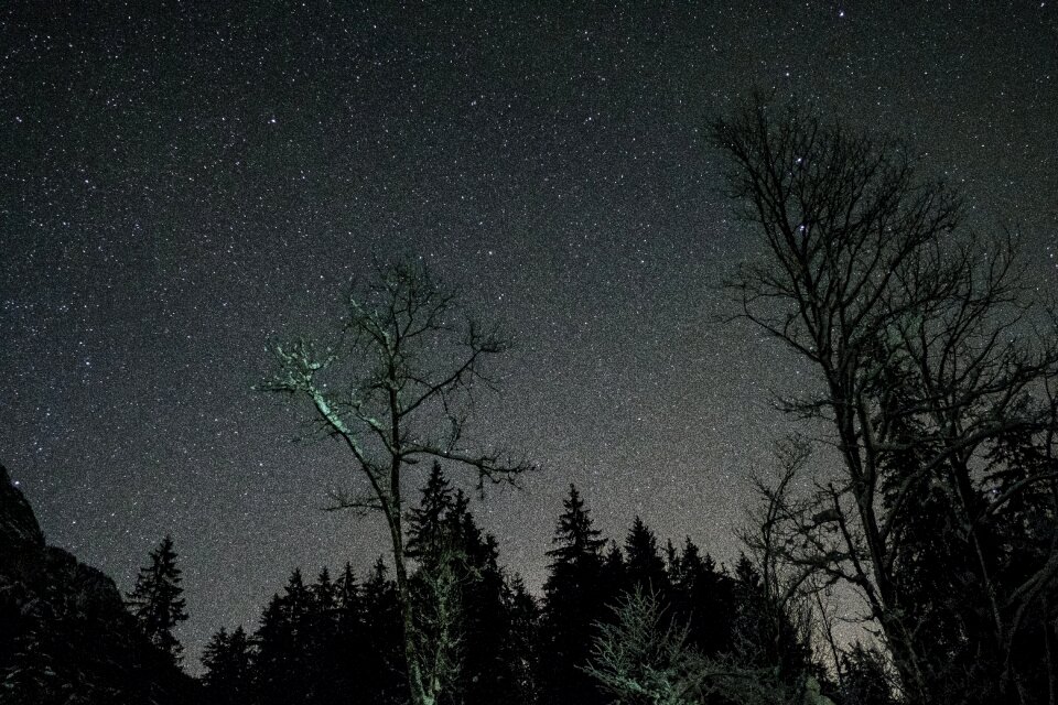 Stars stargazing shadow