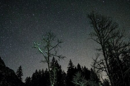 Stars stargazing shadow