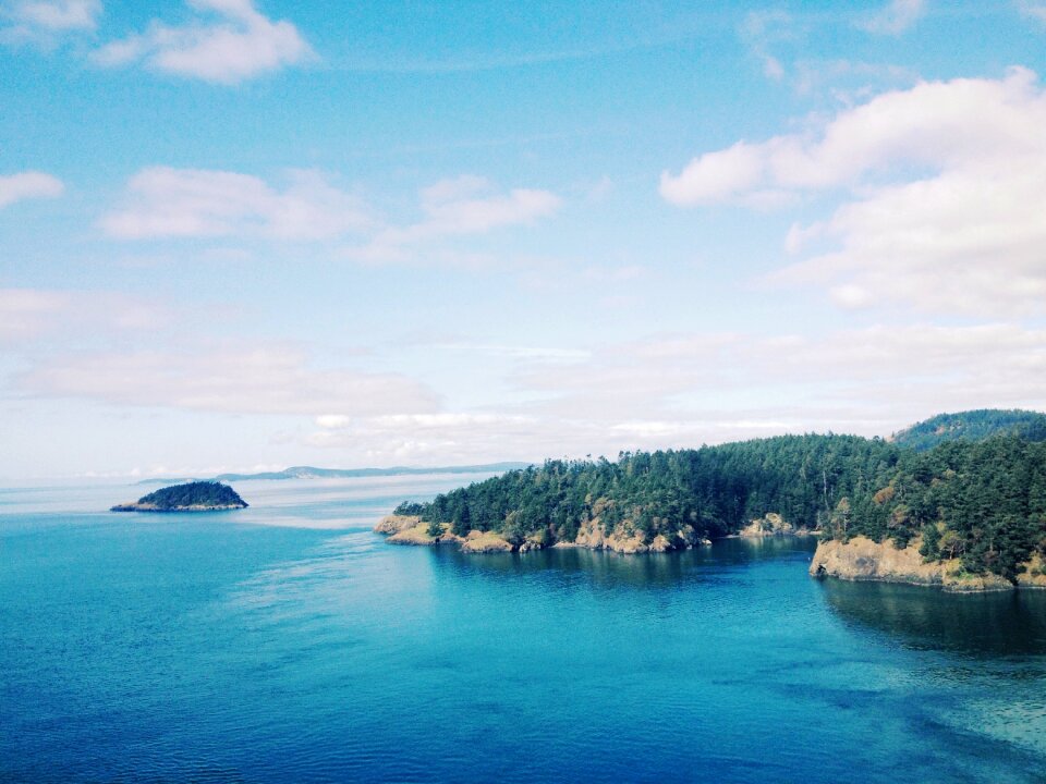 Islands lush vegetation