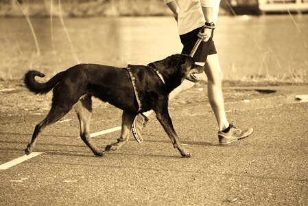 Man male runner together photo