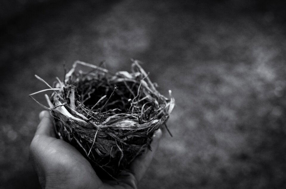 Man bird monochrome