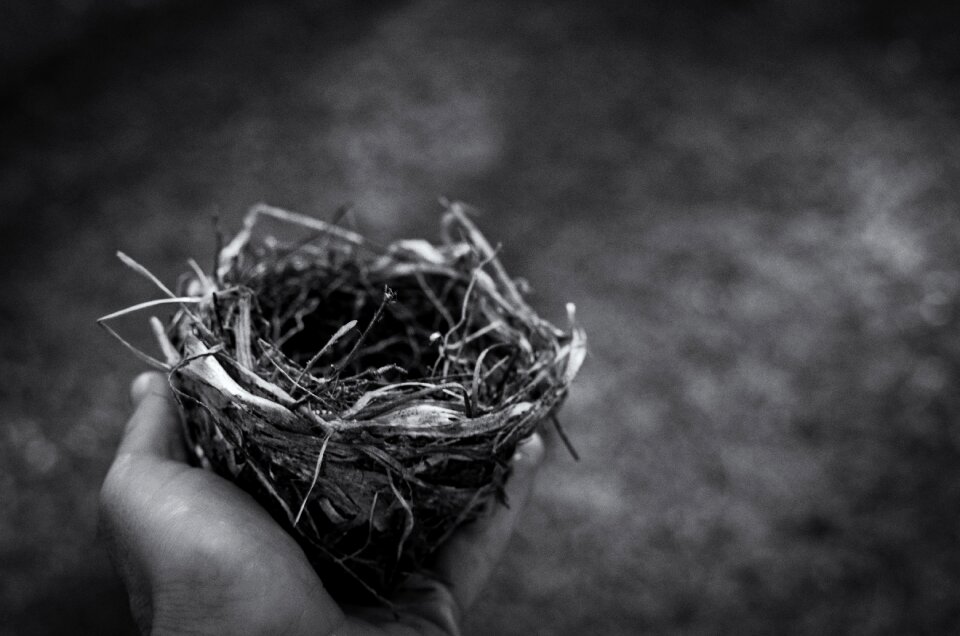 Man bird monochrome photo