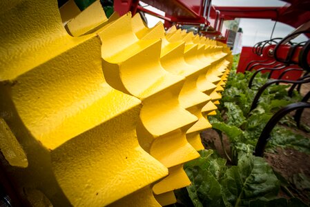 Packer roller polygon roller tillage