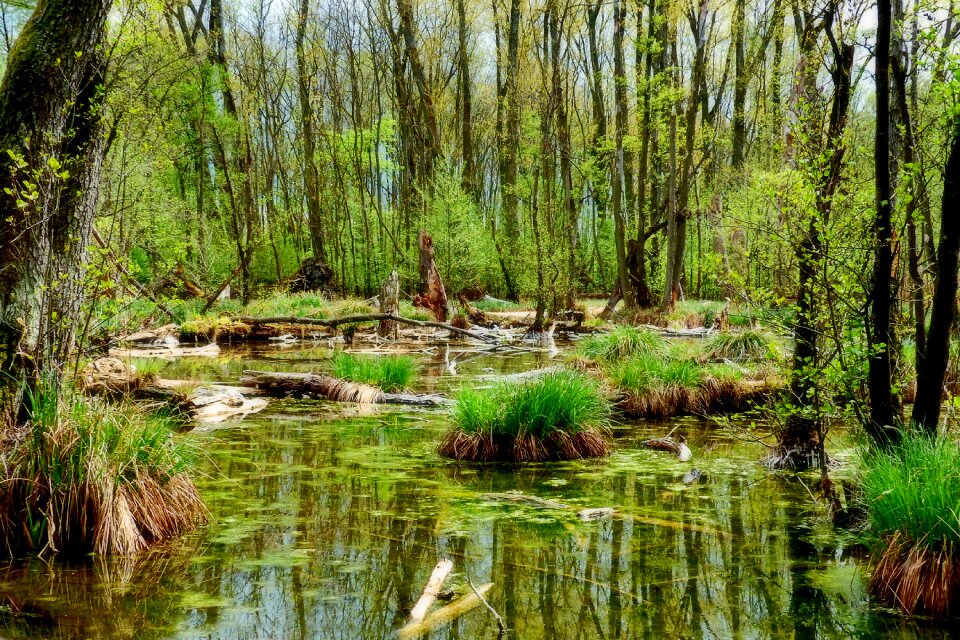 River reflection landscape photo