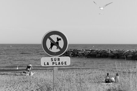 Beach sea breakwater