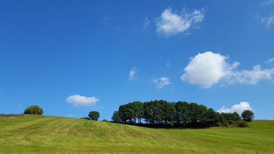 Horizon blue trees photo