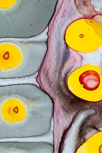 Close up pattern points