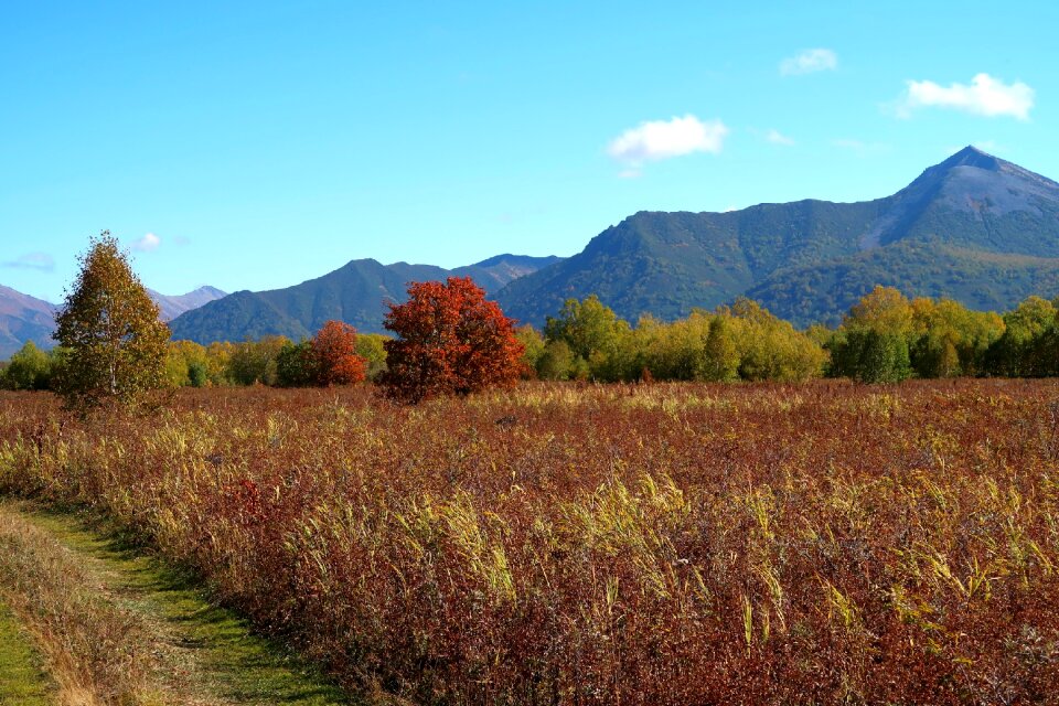 Road fall colors autumn grass