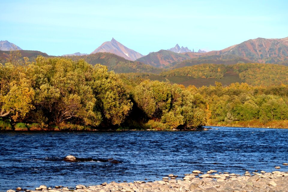 Forest fall colors landscape